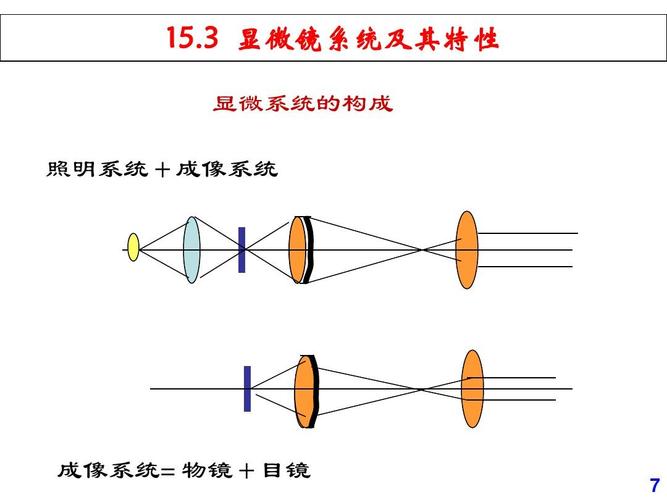 放大镜,显微镜ppt