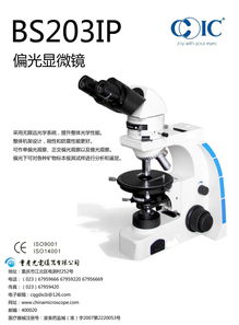 渝光探微 重庆光电显微镜的匠心工艺与时代应用